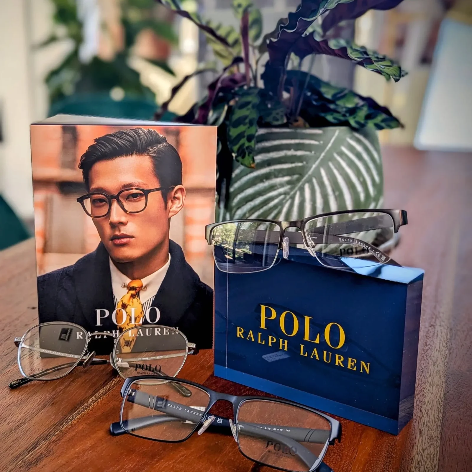 Polo Ralph Lauren eyewear at Focal Point Vision in Fairhope AL